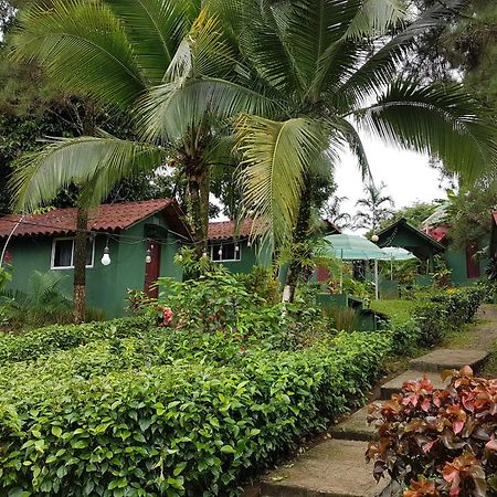 Los Pinos De Torio ภายนอก รูปภาพ