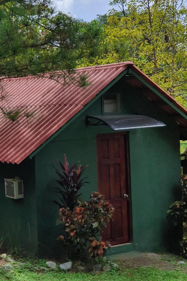 Los Pinos De Torio ภายนอก รูปภาพ