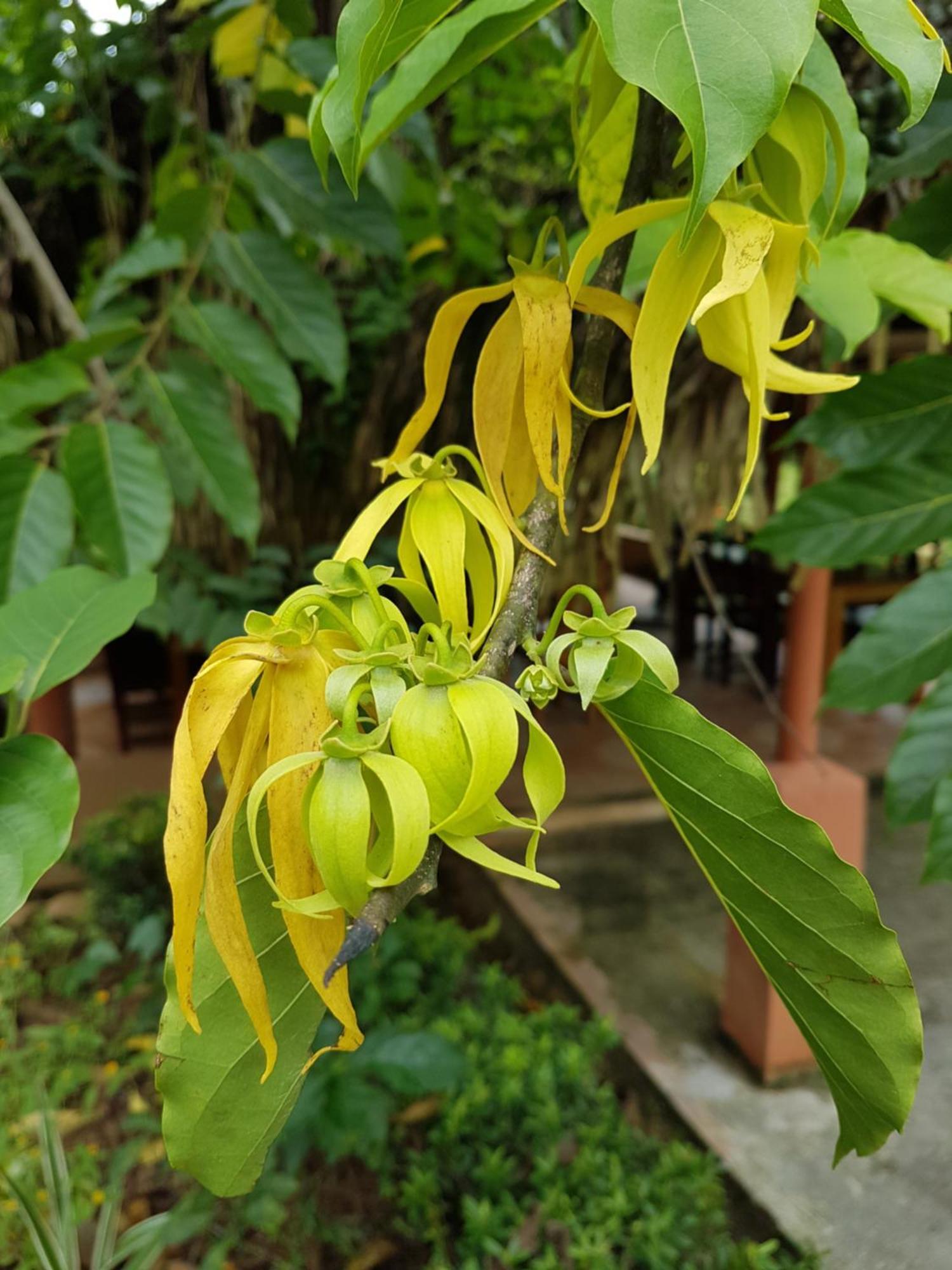 Los Pinos De Torio ภายนอก รูปภาพ