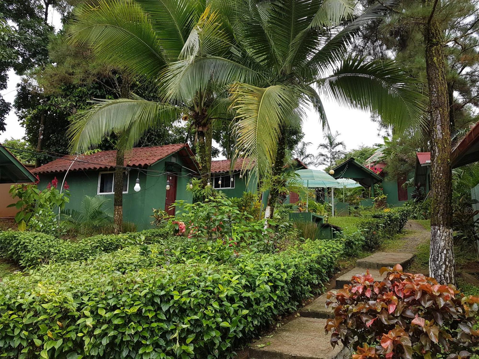 Los Pinos De Torio ภายนอก รูปภาพ