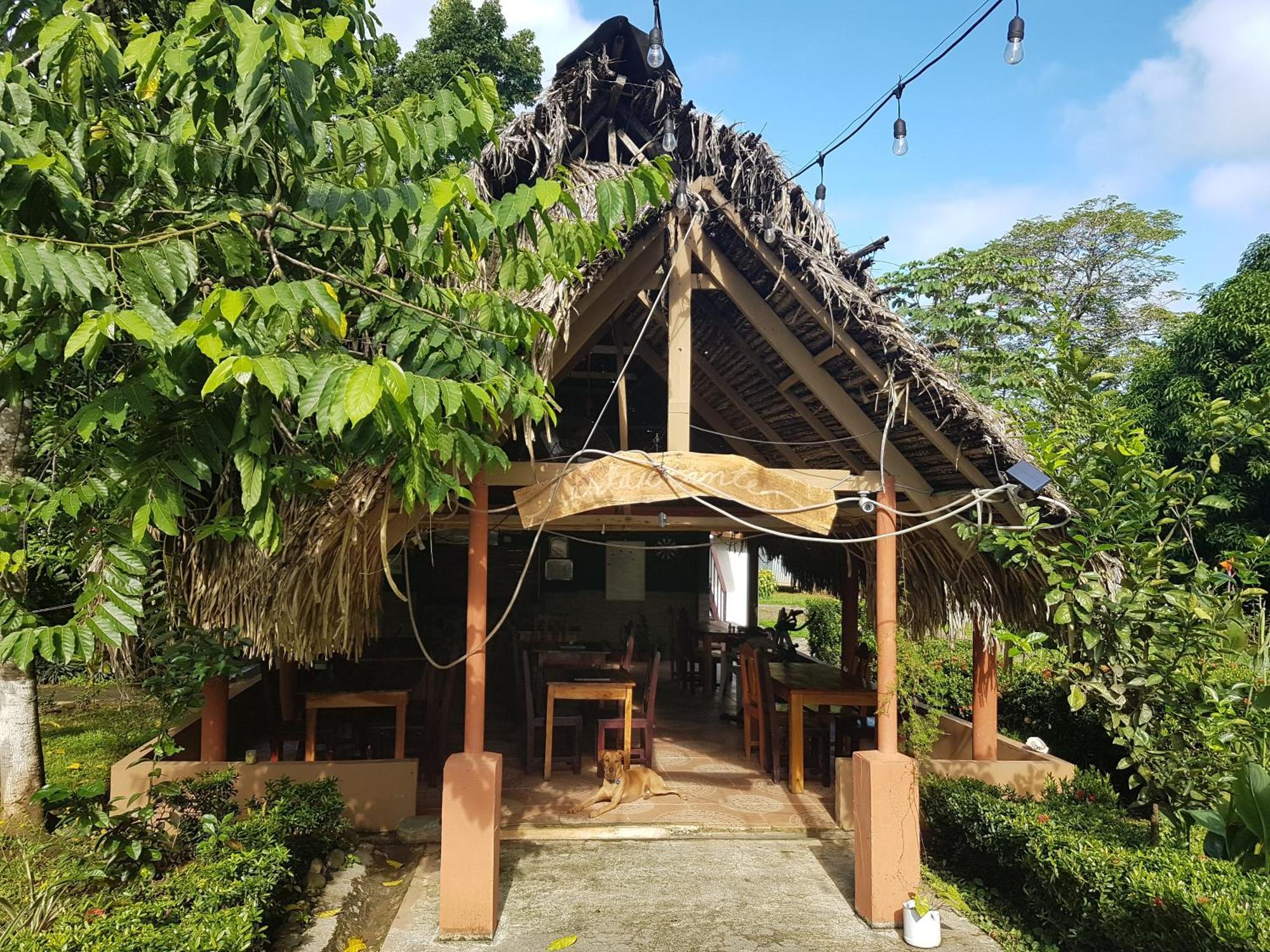 Los Pinos De Torio ภายนอก รูปภาพ