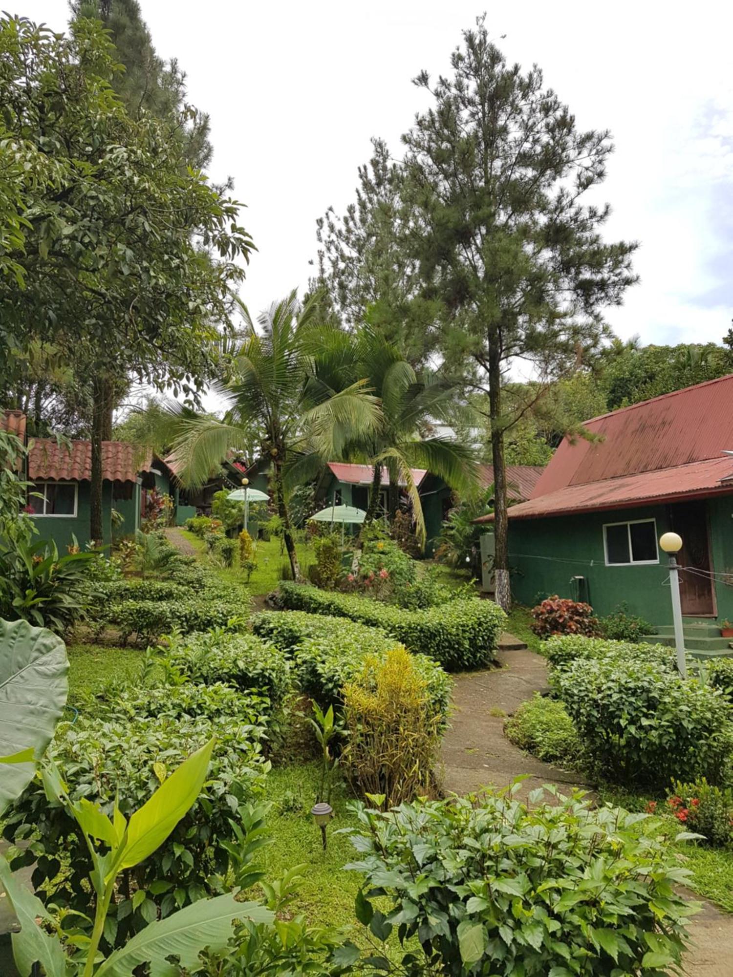 Los Pinos De Torio ภายนอก รูปภาพ