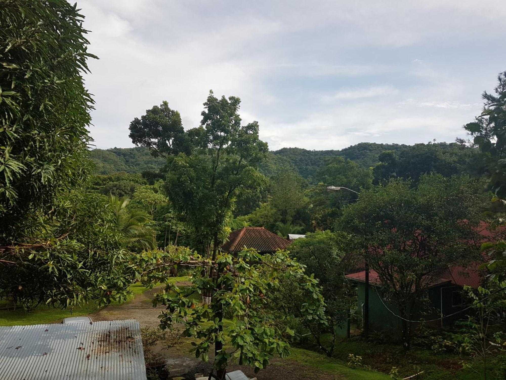 Los Pinos De Torio ภายนอก รูปภาพ